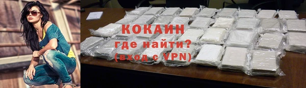 СК Пересвет