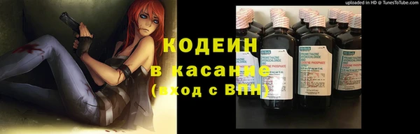 дживик Переславль-Залесский