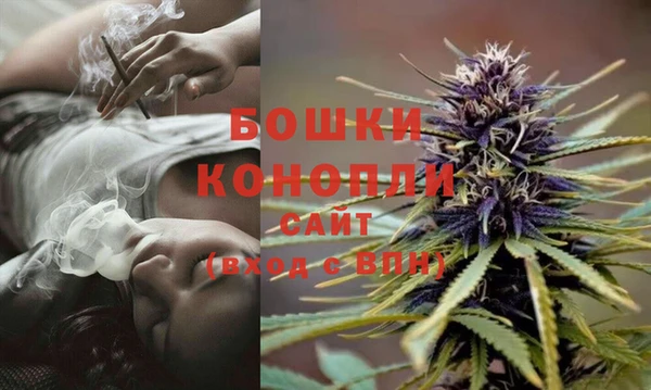 СК Пересвет