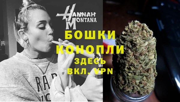 дживик Переславль-Залесский