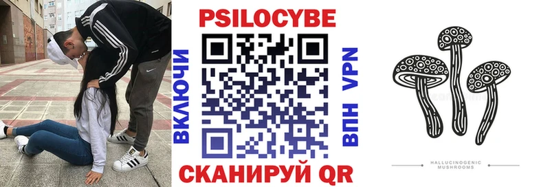 гидра ссылки  Семикаракорск  Галлюциногенные грибы мицелий 
